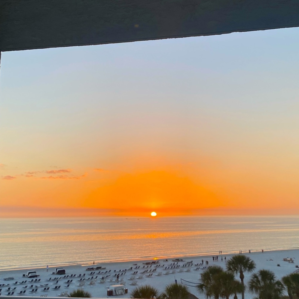 Meet your Posher, Lady Prof